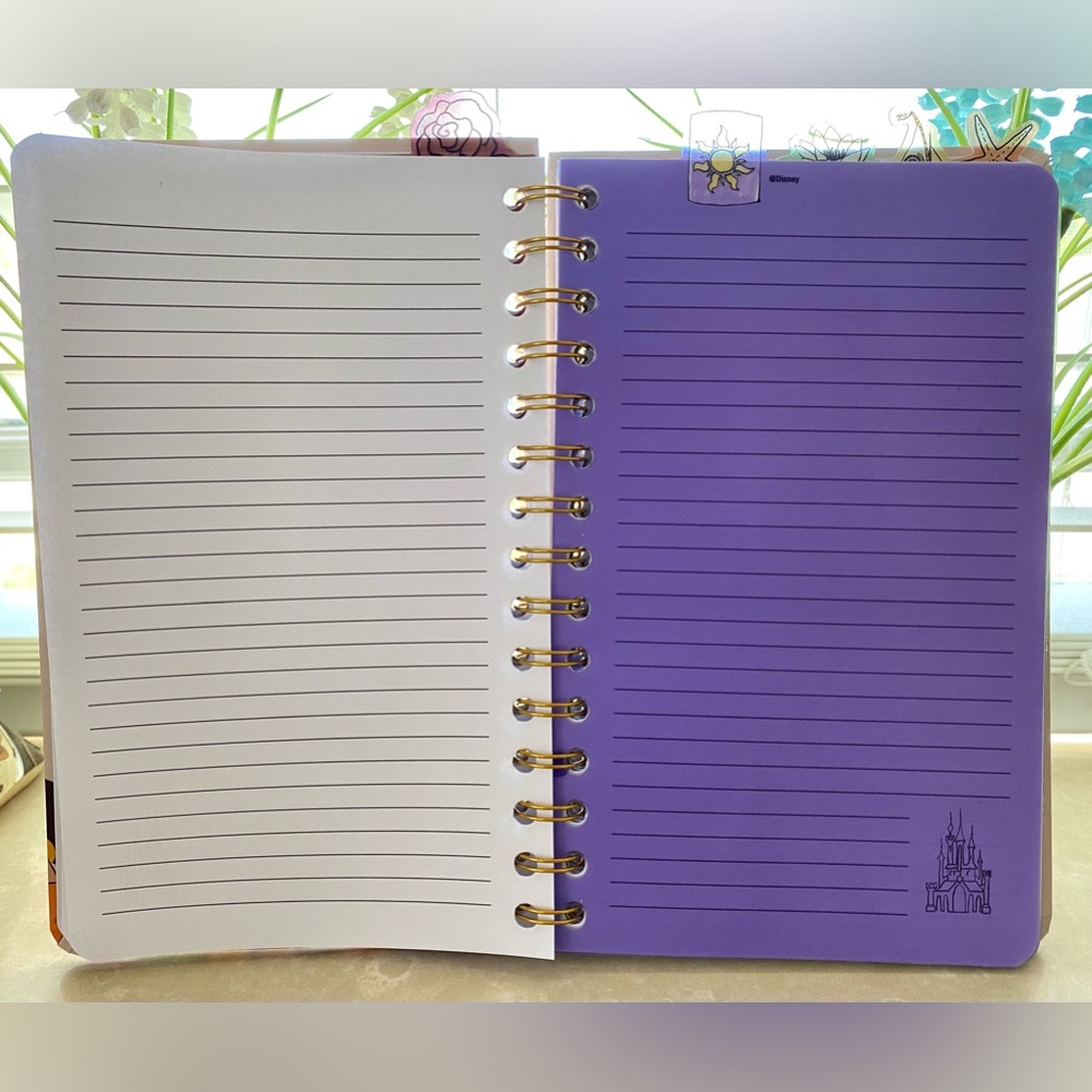 Disney Princesses✨Journal - Picture 3 of 10
